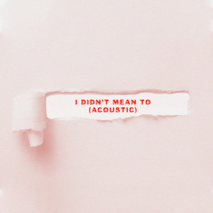 收聽Sarah Barrios的I Didn't Mean To (Acoustic)歌詞歌曲