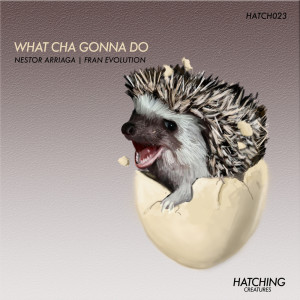 Listen to What Cha Gonna Do song with lyrics from Fran Evolution
