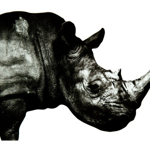 ดาวน์โหลดและฟังเพลง Amenochihare พร้อมเนื้อเพลงจาก Mr.children