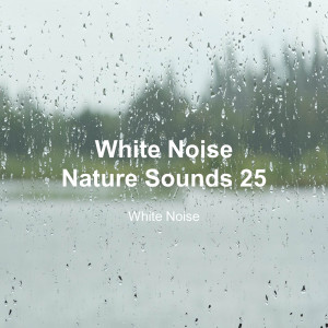 White Noise的專輯White Noise 25 (Rain Sounds, Bonfire Sound, Baby Sleep, Deep Sleep)