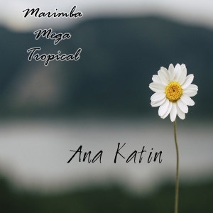 ดาวน์โหลดและฟังเพลง Chusa พร้อมเนื้อเพลงจาก Marimba Mega Tropical