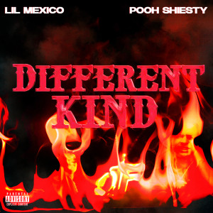 Album Different Kind (Explicit) from Lil Mexico