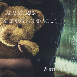 收聽Water Sound Natural White Noise的White Noise Rain Sleep Therapy歌詞歌曲
