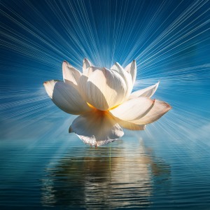 ดาวน์โหลดและฟังเพลง Tranquil Reflections พร้อมเนื้อเพลงจาก Tranquil Relaxation Sounds