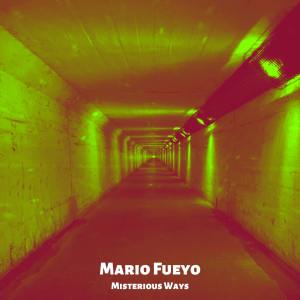 收听Mario Fueyo的The easy way歌词歌曲