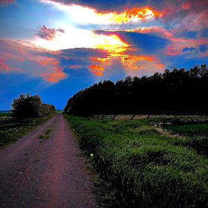 default playlist img