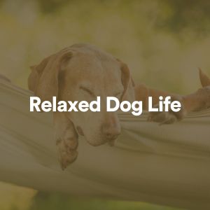 Album Relaxed Dog Life from 
