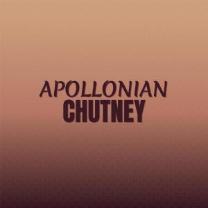 Various Artists的專輯Apollonian Chutney