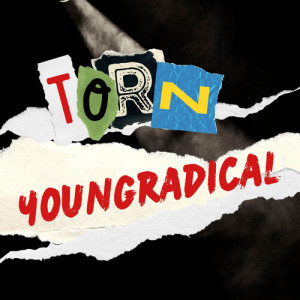 Youngradical的專輯Torn