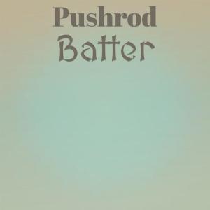 Various Artists的專輯Pushrod Batter