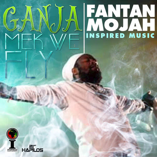 Ganja Mek We Fly Riddim (Instrumental)