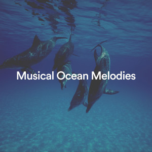 收聽Ocean Sounds的Musical Ocean Melodies, Pt. 10歌詞歌曲