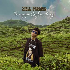 Listen to Mengapa Engkau Pergi song with lyrics from Ziell Ferdian