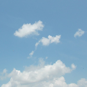 Album things to remember from skyswimming
