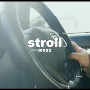 Album stroll from Dingo