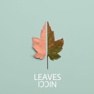 Album Leaves from 