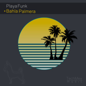 Dengarkan La Palapa lagu dari Playa Funk dengan lirik