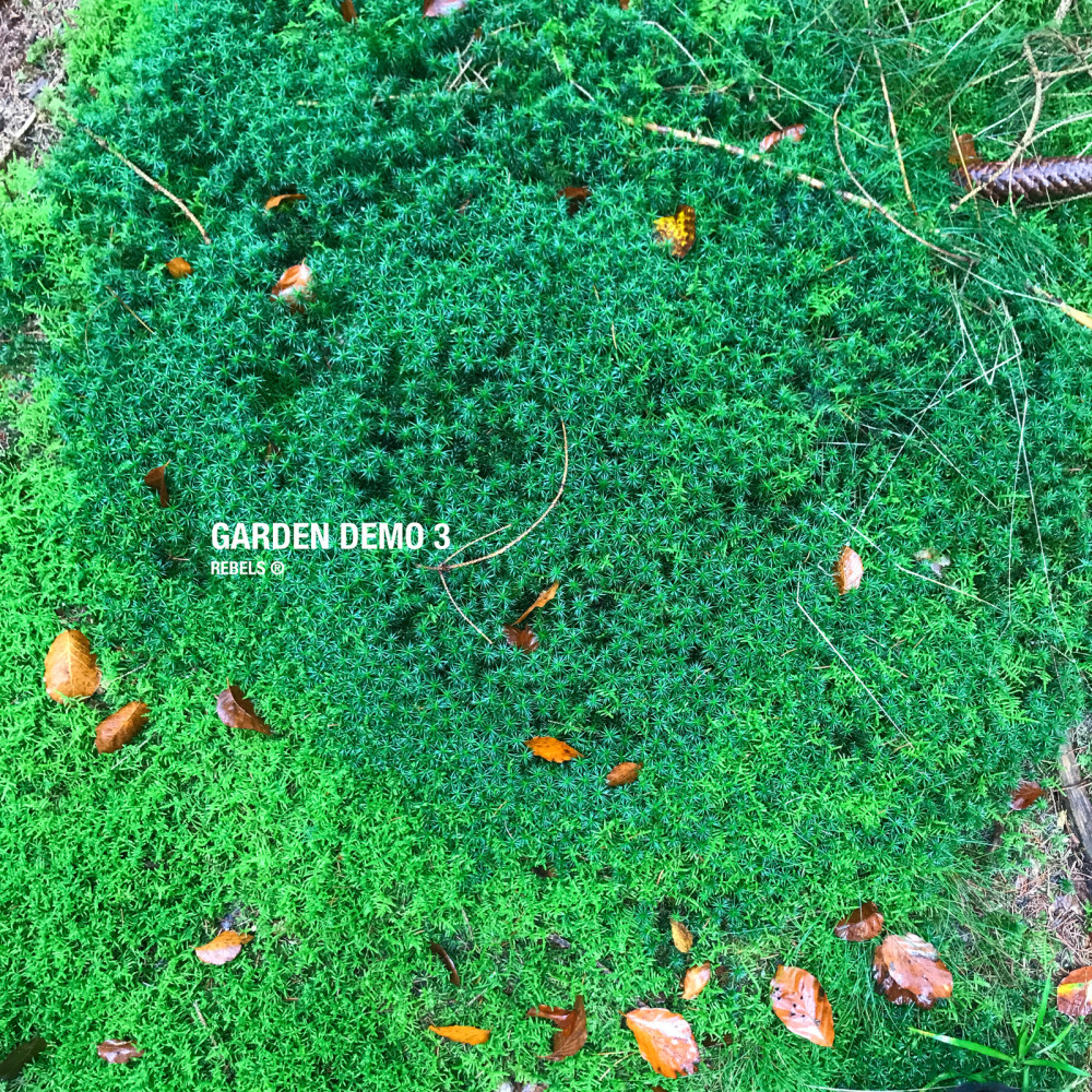 Garden Demo 3