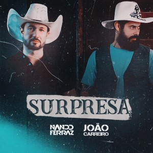 Album Surpresa from Nando Ferraz