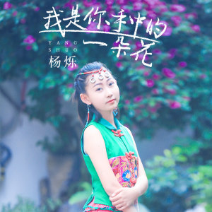 收聽楊爍的我是你手中的一朵花歌詞歌曲