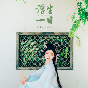 Listen to 浮生一日 (伴奏) song with lyrics from 执素兮