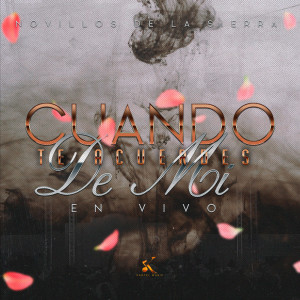 Dengarkan Cuando Te Acuerdes de Mi lagu dari Novillos de la Sierra dengan lirik