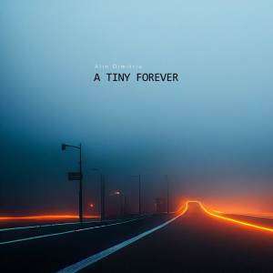 ดาวน์โหลดและฟังเพลง A Tiny Forever พร้อมเนื้อเพลงจาก Alin Dimitriu