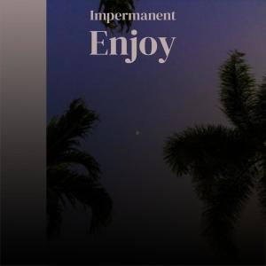 Dengarkan lagu Impermanent Enjoy nyanyian Roler Polla dengan lirik