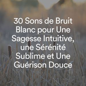 Album 30 Sons de Bruit Blanc pour Une Sagesse Intuitive, une Sérénité Sublime et Une Guérison Douce from Bruit Blanc