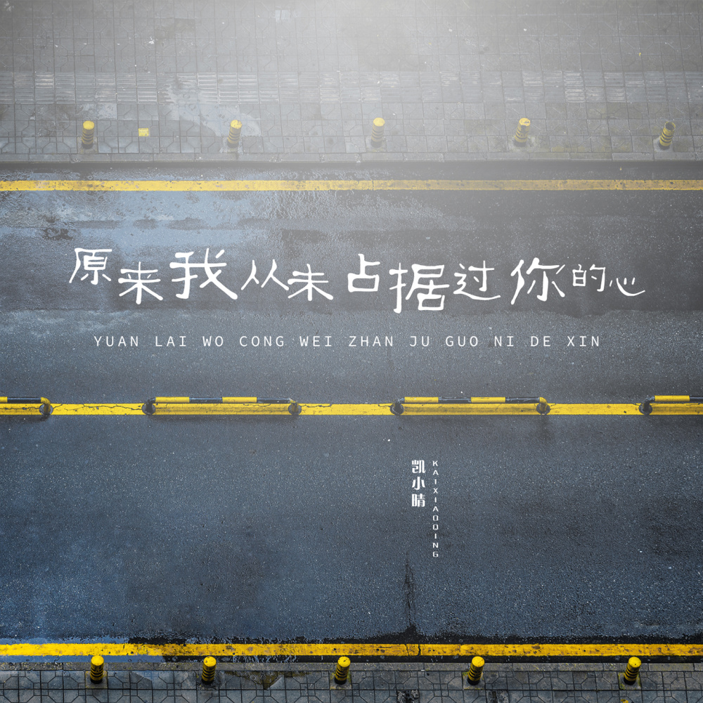 原来我从未占据过你的心 (伴奏)