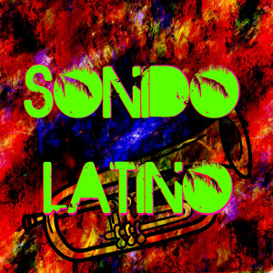 Album Sonido Latino from DJ Francis