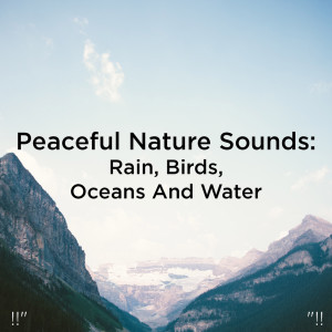 Listen to Ocean Sounds Deep Sleep song with lyrics from Nature Sounds