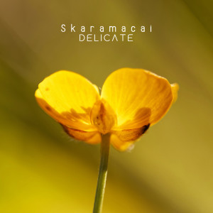 Listen to Recipes song with lyrics from Skaramacai