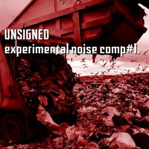 Album Unsigned Experimental Noise Comp#1. from Various Artists