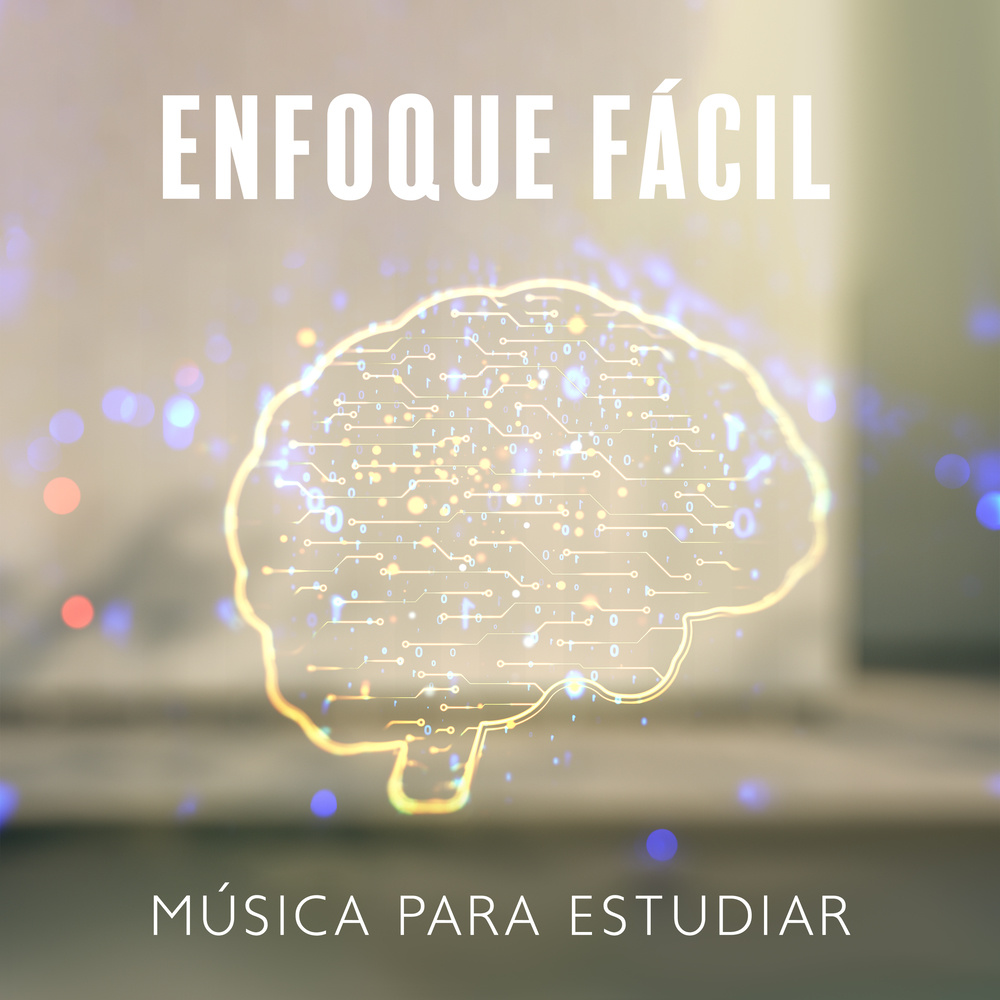 Concentración (Música de Estudio)