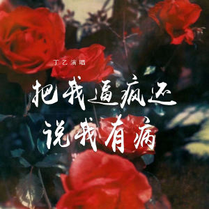 Listen to 把我逼疯还说我有病 (柔情版) song with lyrics from 丁乙