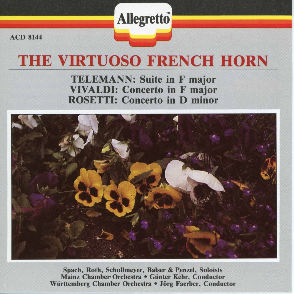 Horn Concerto in D Minor, C. 38/III:43: I. Allegro molto