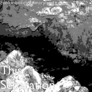 FunkMonkeysOfMaryland的專輯This Separation