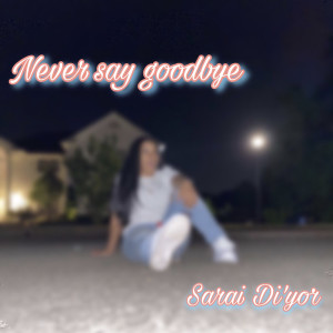 收聽SARAI DI'YOR的Never Say Goodbye歌詞歌曲