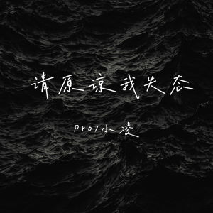 Listen to 请原谅我失态 song with lyrics from pro