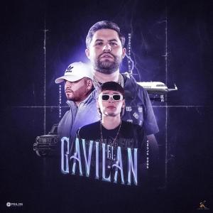 Album El Gavilán oleh Peso Pluma