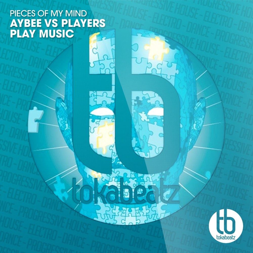 Pieces of My Mind (Aybee vs. Players Play Music) (Radio Edit)