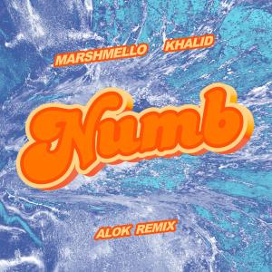 Album Numb (Alok Remix) from Marshmello