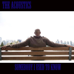 ดาวน์โหลดและฟังเพลง Somebody i used to know พร้อมเนื้อเพลงจาก The Acoustics