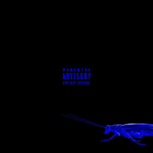 Album Bouj3ran (Explicit) from NessYou