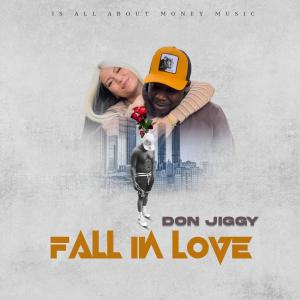 ดาวน์โหลดและฟังเพลง FALL IN LOVE พร้อมเนื้อเพลงจาก Don Jiggy