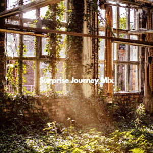 Surprise Journey Mix