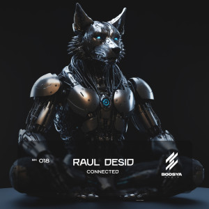 ดาวน์โหลดและฟังเพลง Connected (Radio Edit) พร้อมเนื้อเพลงจาก Raul Desid