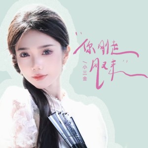 Listen to 你刚走风又来（和声伴奏） (伴奏) song with lyrics from 小三金
