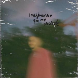 Album Imaginando que me olvidaste from 